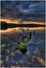 SmugMug > keywords > winchester lake > Northwest Connecticut. May 2006.